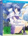 Blu-Ray Anime: Ewigkeit, die du dir wuenschst, Die  Gesamtausgabe, Ep.: 01-14, 2Disc  (22.03.24)