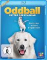 Blu-Ray Oddball - Retter der Pinguine  Min:92/DD5.1/WS