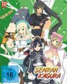 Blu-Ray Anime: Senran Kagura  Gesamtausgabe  Limit. Erstaufl.  -Steelbook-  -Episoden 01-12-  2 Discs
